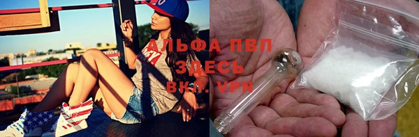 хмурый Аркадак