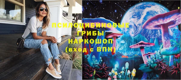 дживик Арсеньев