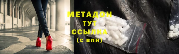 хмурый Аркадак