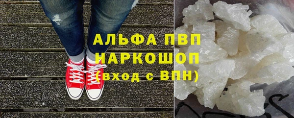 хмурый Аркадак