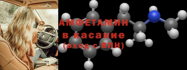 хмурый Аркадак