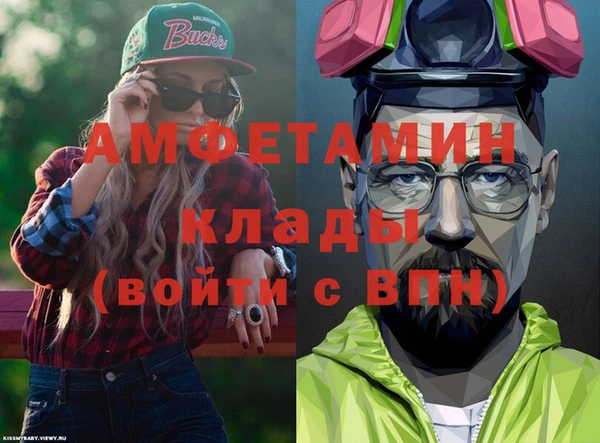 хмурый Аркадак