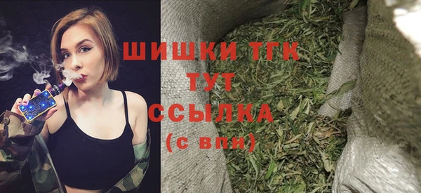 дживик Арсеньев