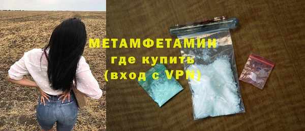 хмурый Аркадак