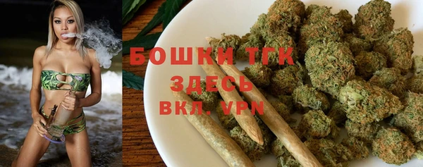 хмурый Аркадак